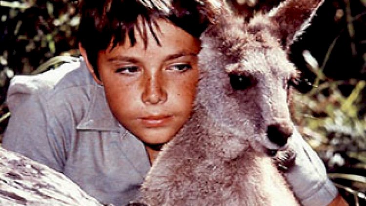 Skippy el canguro